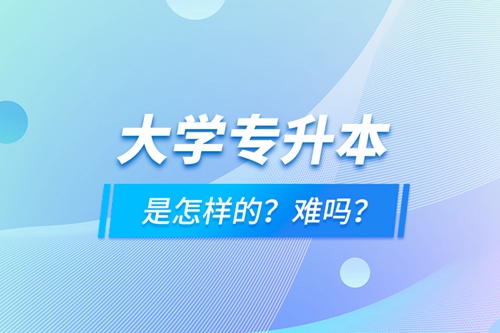 大學(xué)專(zhuān)升本是怎樣的？難嗎？
