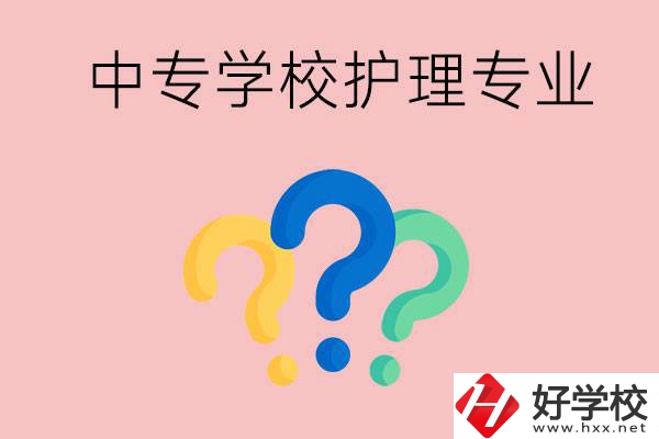 湖南的公辦中專學(xué)校哪些可以學(xué)護(hù)理專業(yè)？