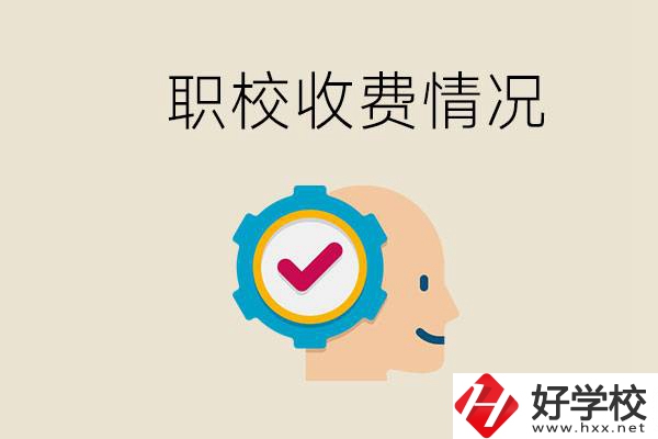 湖南的職校是怎么收費的？民辦學校一年學費要多少？