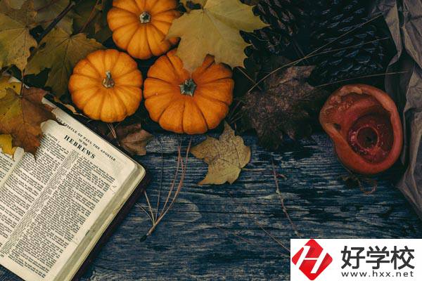 臨湘市職業(yè)中專開(kāi)設(shè)哪些熱門專業(yè)？有哪些就業(yè)方向？