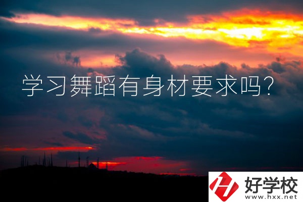 懷化有可以學習舞蹈的中專學校嗎？有身材要求嗎？