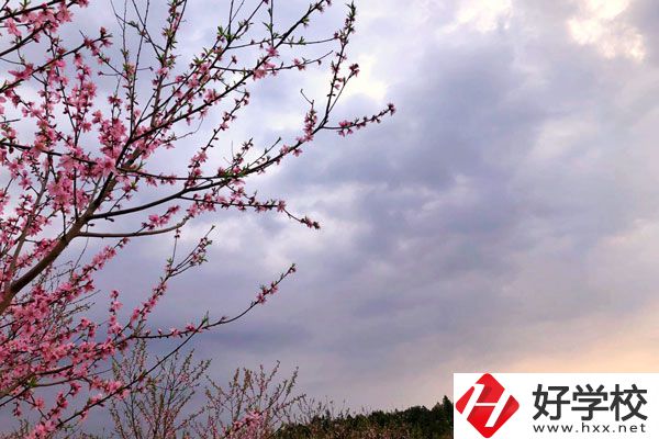 邵陽市瀟湘中等職業(yè)技術(shù)學校怎么樣？收費標準如何？