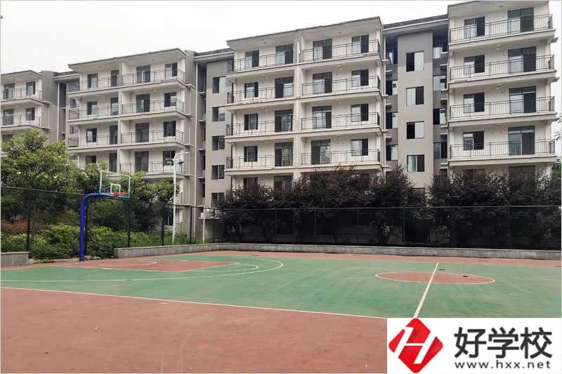 衡陽科技工程學(xué)?；@球場
