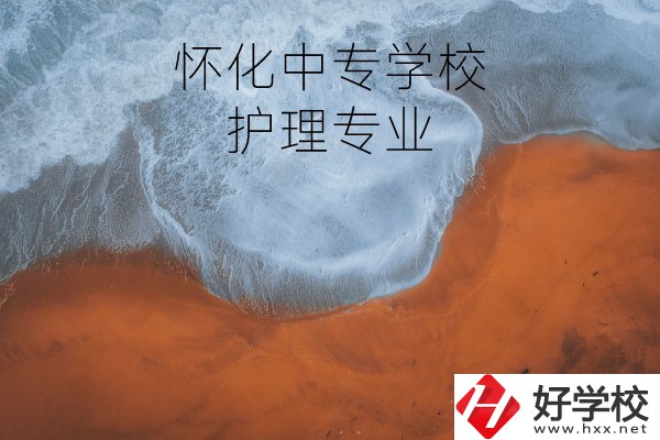 懷化有學護理專業(yè)的中專學校嗎？