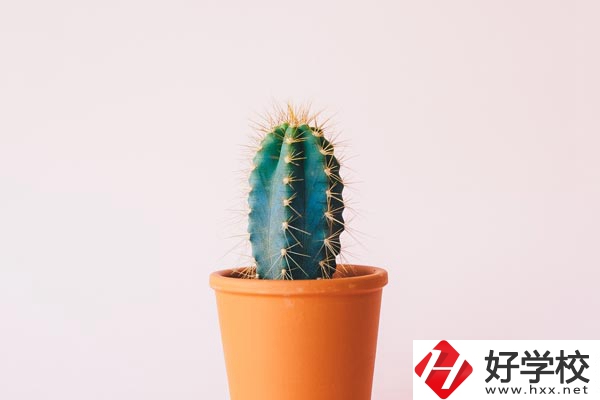 長沙有哪些中職學?？梢詫W習幼師專業(yè)？