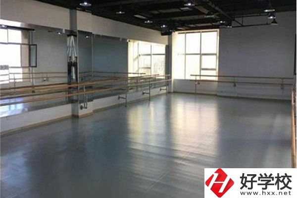 想在衡陽學(xué)藝術(shù)類專業(yè)，看看這所學(xué)校！