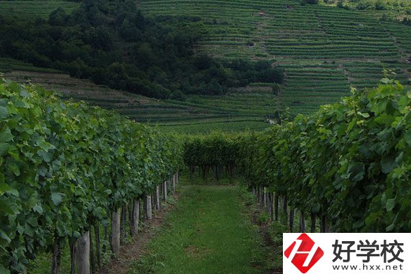中鋼集團(tuán)衡陽重機(jī)技工學(xué)校好不好？值得讀嗎？