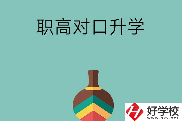湖南職高對口升學(xué)可以考哪些大專？