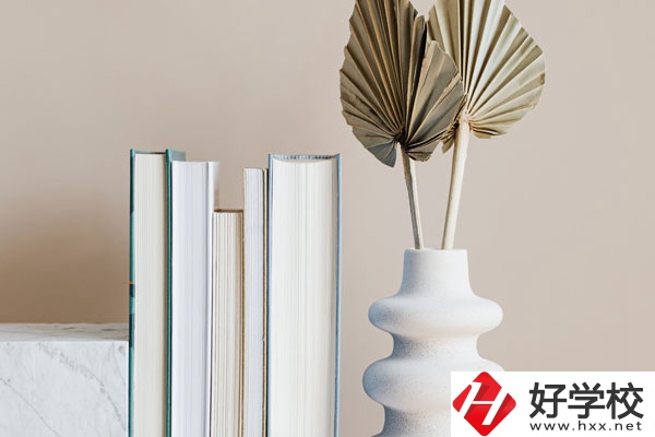 懷化職業(yè)技術(shù)學(xué)院(中職部)好不好，值得選擇嗎？