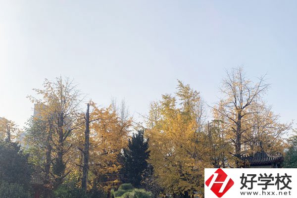 湘潭縣就業(yè)職業(yè)技術(shù)學(xué)校有哪些專業(yè)？就業(yè)前景怎么樣？