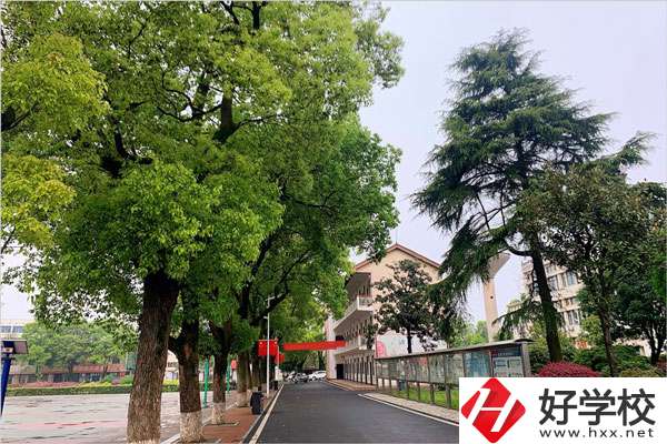想在益陽學(xué)機(jī)械制造專業(yè)，哪個(gè)學(xué)校比較好？