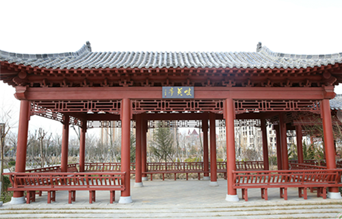 山東中醫(yī)藥高等?？茖W(xué)校