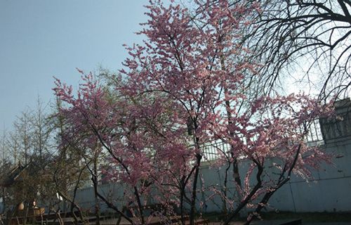 陽泉文化藝術(shù)學校