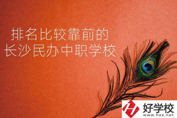 長(zhǎng)沙哪些民辦中職學(xué)校排名比較靠前？