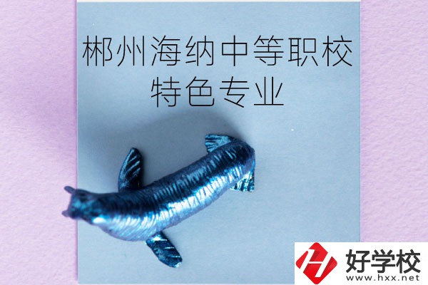 郴州海納中等職業(yè)技術(shù)學(xué)校有些什么特色專業(yè)？