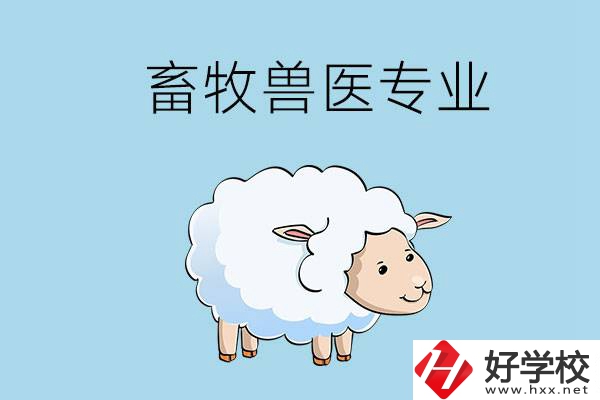 畜牧獸醫(yī)專業(yè)好就業(yè)嗎？湖南哪些技校開設(shè)了該專業(yè)？