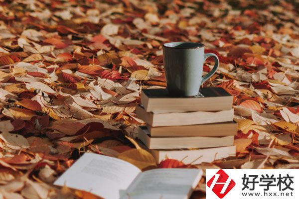 中方縣職業(yè)中等專業(yè)學(xué)校有什么專業(yè)？好不好？