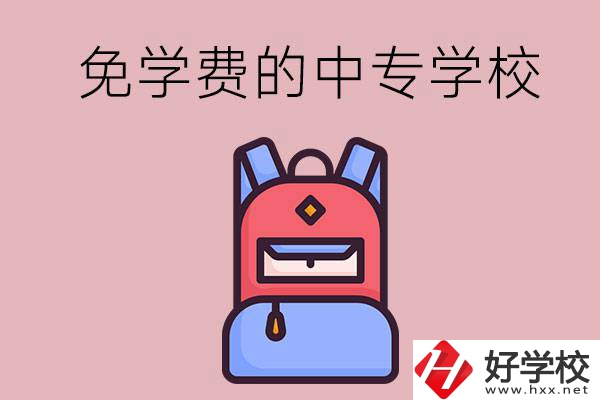 郴州市的中專(zhuān)哪些是免學(xué)費(fèi)的？