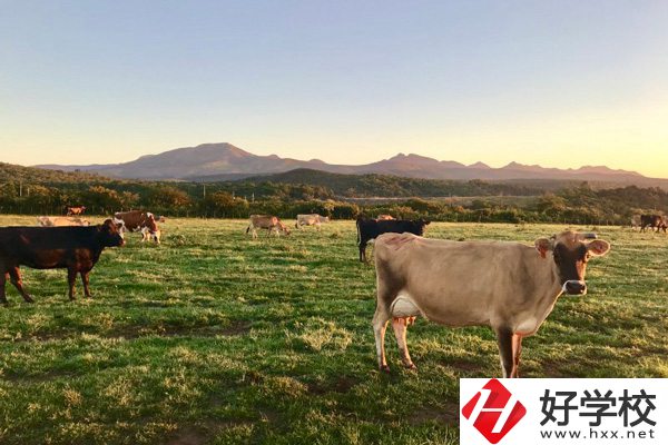 瀘溪縣第一職業(yè)中學(xué)的園林技術(shù)專業(yè)怎么樣？