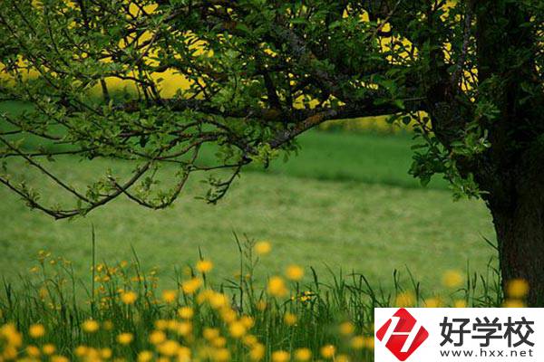 在邵陽讀中職有前途嗎？如何選擇學(xué)校呢？