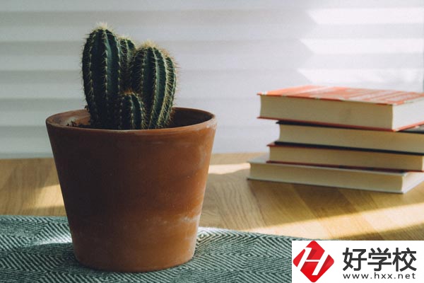 桃江縣職業(yè)中專學(xué)校辦學(xué)條件怎么樣？有哪些特色？
