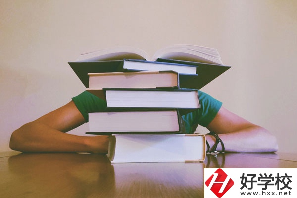 南岳區(qū)職業(yè)中等專業(yè)學校辦學地址在哪兒？