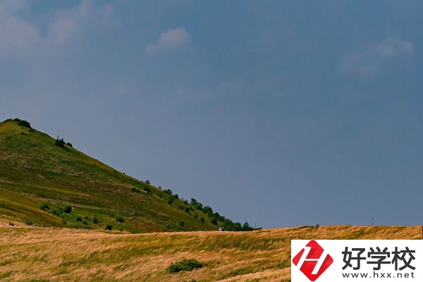 想在常德學(xué)動(dòng)漫設(shè)計(jì)專業(yè)，有合適的學(xué)校嗎？