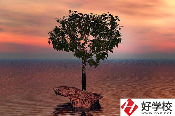 湖南省中南藝術(shù)學(xué)校收費(fèi)標(biāo)準(zhǔn)怎么樣？