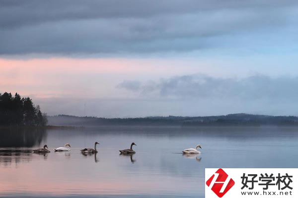 湖南有色金屬中專學(xué)校有哪些專業(yè)？就業(yè)方向如何？