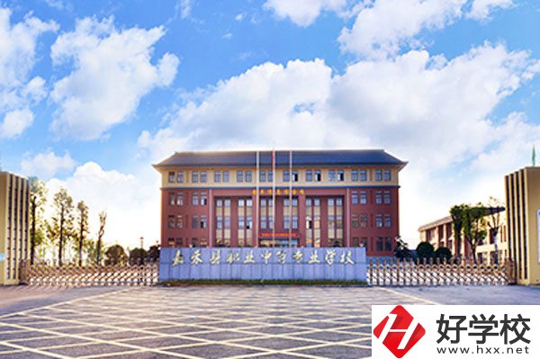 嘉禾縣職業(yè)中等專業(yè)學(xué)校實(shí)力如何？