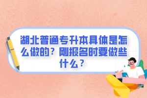湖北普通專升本具體是怎么做的？剛報名時要做些什么？