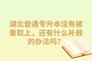 湖北普通專升本沒有被錄取上，還有什么補救的辦法嗎？