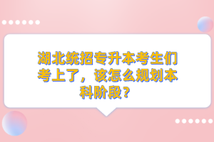 湖北統(tǒng)招專升本考生們考上了，該怎么規(guī)劃本科階段？