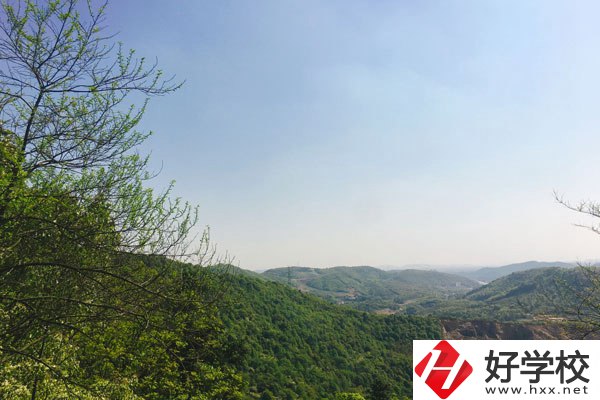 株洲人工智能職業(yè)技術(shù)學(xué)校哪個專業(yè)更好？