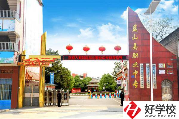 藍(lán)山縣職業(yè)中等專業(yè)學(xué)校是公辦學(xué)校嗎？有什么專業(yè)？