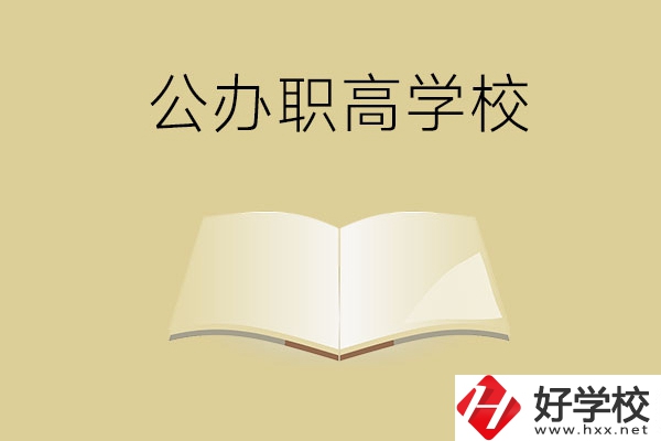 懷化公辦的職高學(xué)校有哪些？