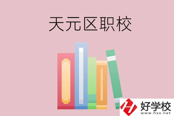 株洲市天元區(qū)的職校有哪幾所？