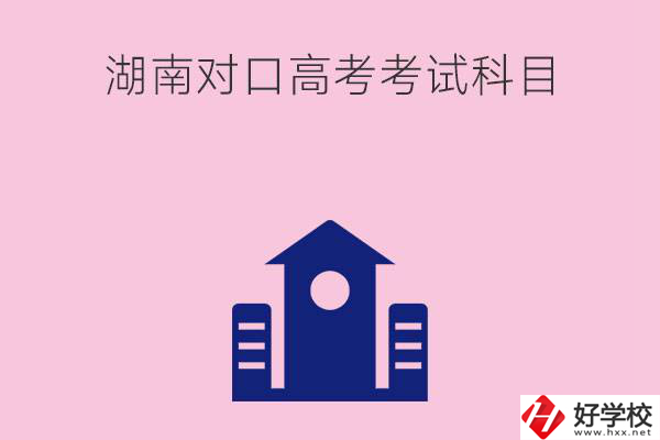 湖南中職生對(duì)口高考考試科目都有哪些？考試難不難？