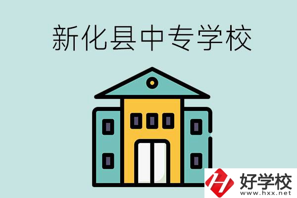 婁底市新化縣有哪些中專學校？是公辦還是民辦？
