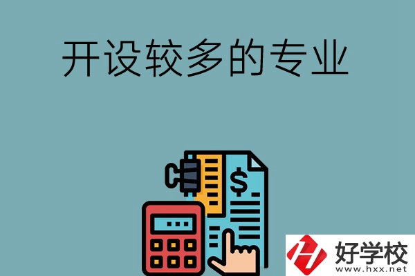 湖南的中職學校開設較多的專業(yè)是哪些？