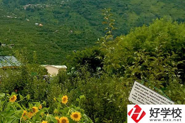 長沙公辦中職學(xué)校好不好？都有哪些學(xué)校？