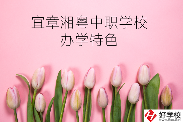 宜章湘粵中職學(xué)校在哪？有什么辦學(xué)特色？