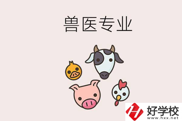 湖南哪些職校能學(xué)獸醫(yī)專業(yè)？學(xué)獸醫(yī)前景怎么樣？