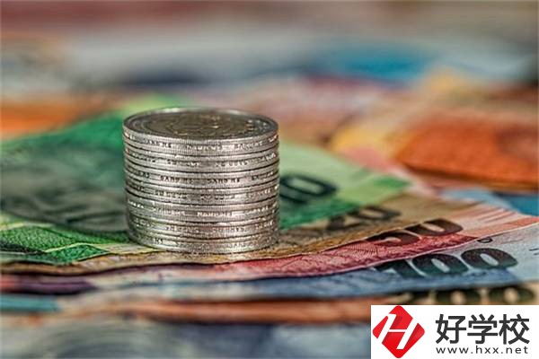 湖南職校會計電算化專業(yè)怎么樣？就業(yè)前景好不好？