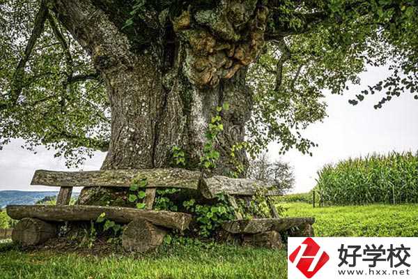 湖南特教中等專業(yè)學校有哪些特色專業(yè)？有資助政策嗎？