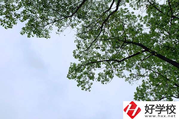 衡南縣職業(yè)中專學(xué)校的宿舍和食堂環(huán)境怎么樣？