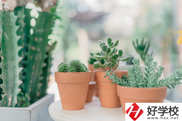 瀏陽市三聯(lián)工業(yè)學(xué)校辦學(xué)條件怎么樣？