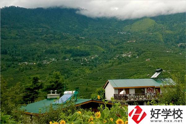 益陽(yáng)大誠(chéng)職業(yè)學(xué)校的專業(yè)怎么樣？就業(yè)方向如何？