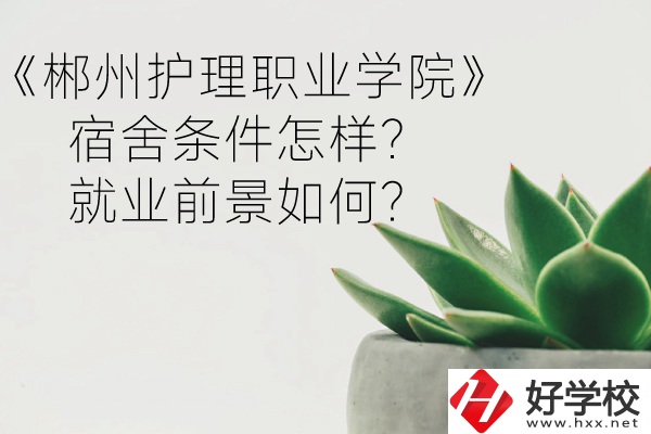 郴州護(hù)理職業(yè)學(xué)院宿舍條件怎樣？就業(yè)前景如何？