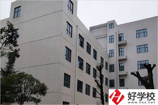 想學(xué)直播電商服務(wù)專業(yè)，湖南有哪些合適的學(xué)校？